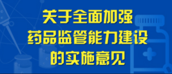 关于全面加强药品监管能力建设的实施意见