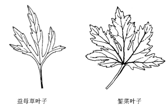 赌博网站